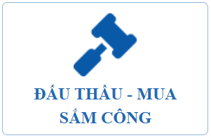 Đấu thầu mua sắm công